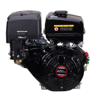 Silnik Loncin G420 wał 25mm