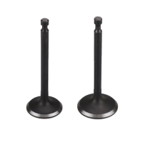 Zawory do silnika EX40 EX35